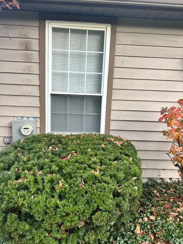 double hung window installation project