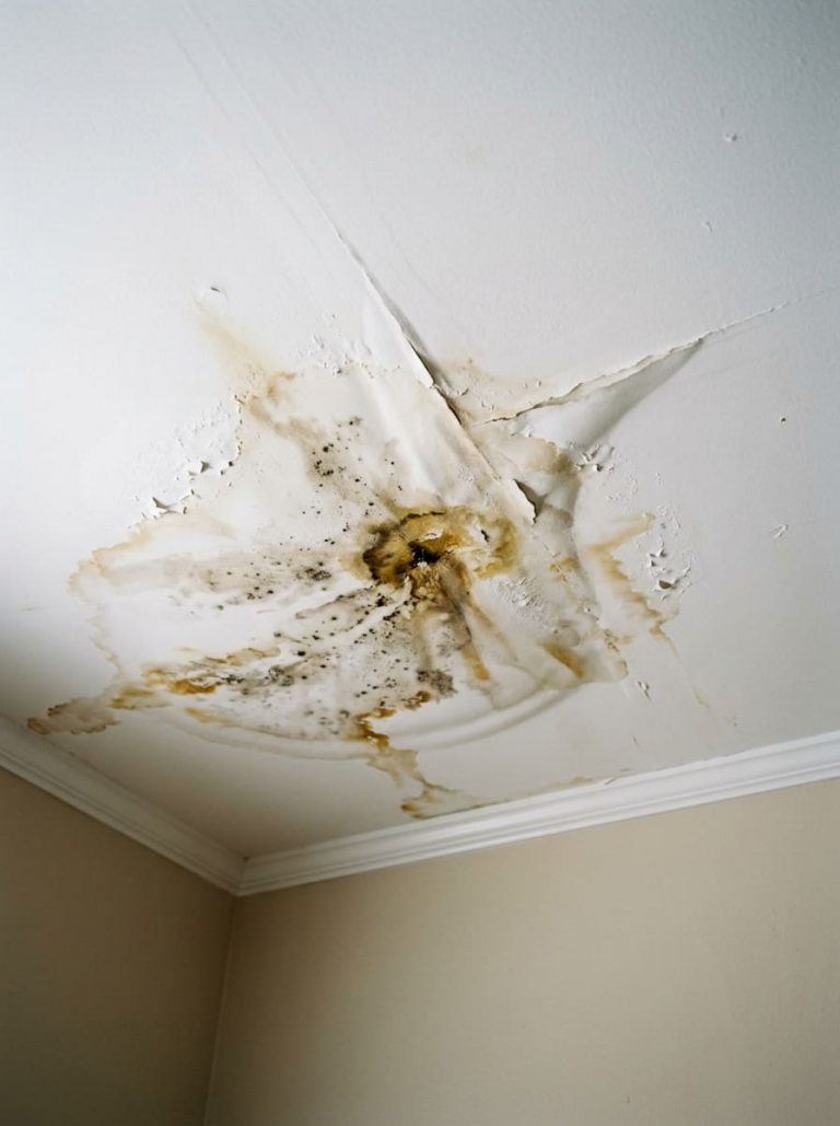 Interior ceiling with active water staining and moisture damage from roof leak — brown water stains spreading from a central point on a residential ceiling